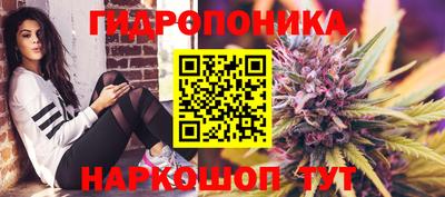 сатива Можга