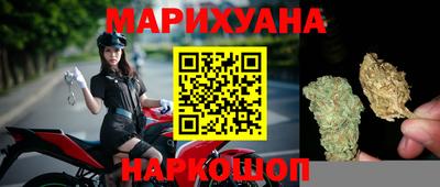 сатива Можга