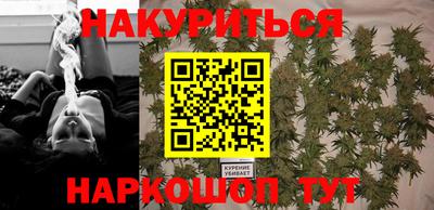 сатива Можга