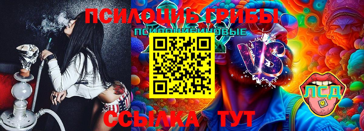 где продают   Вход с VPN  Чебоксары  Галлюциногенные грибы Magic Shrooms 